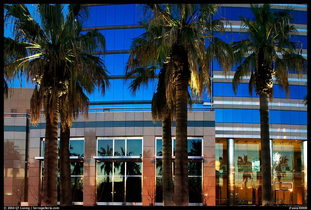 Palm trees reflected in building at sunset. San Jose, California, USA
