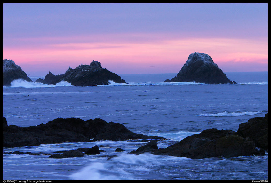 Seastacks at sunset. Point Lobos State Preserve, California, USA