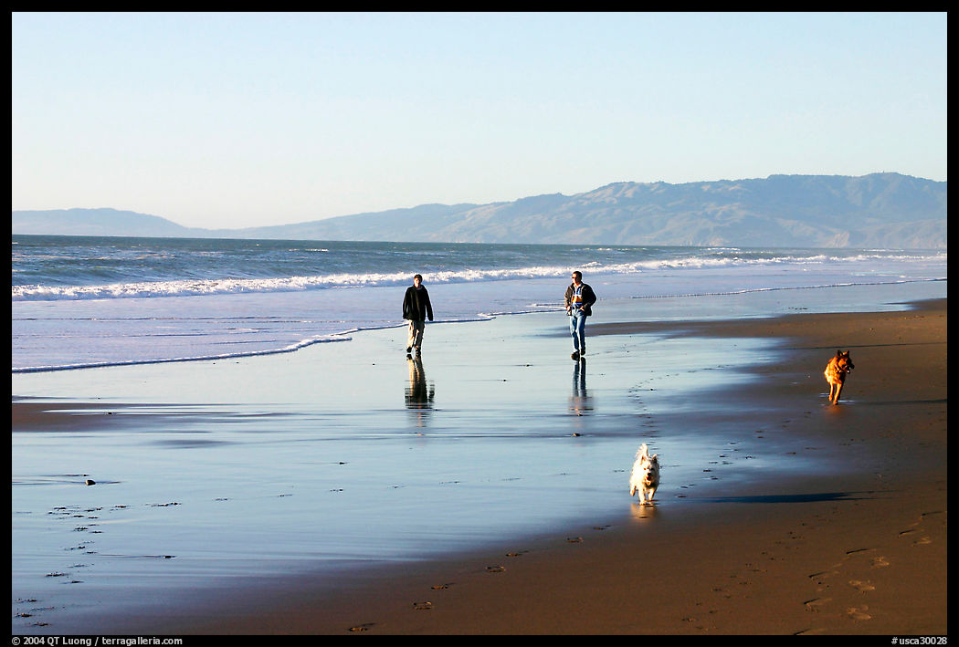 People and dogs strolling on beach near Fort Funston,  late afternoon, San Francisco. San Francisco, California, USA
