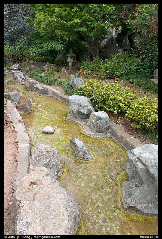 Stream, Japanese Friendship Garden. San Jose, California, USA