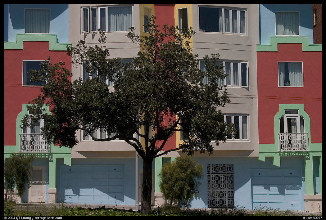 Tree and colorful house. San Francisco, California, USA