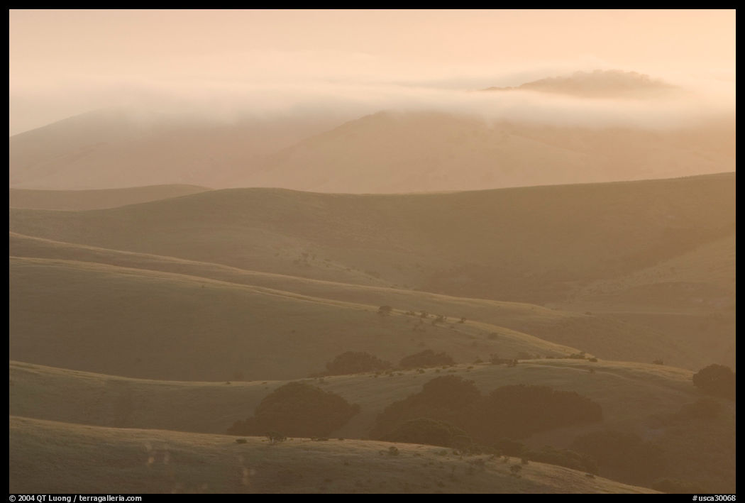 Rolling Hills Hills and fog, sunrise. California, USA