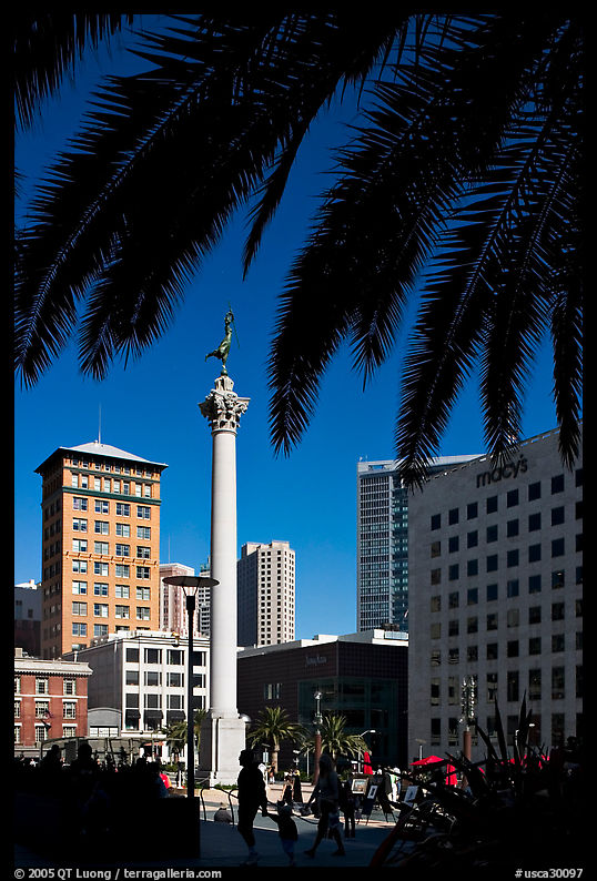 Union square and column framed by palm trees, afternoon. San Francisco, California, USA