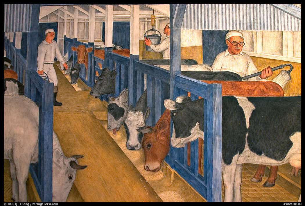 Cows in a farm depicted in a fresco inside Coit Tower. San Francisco, California, USA