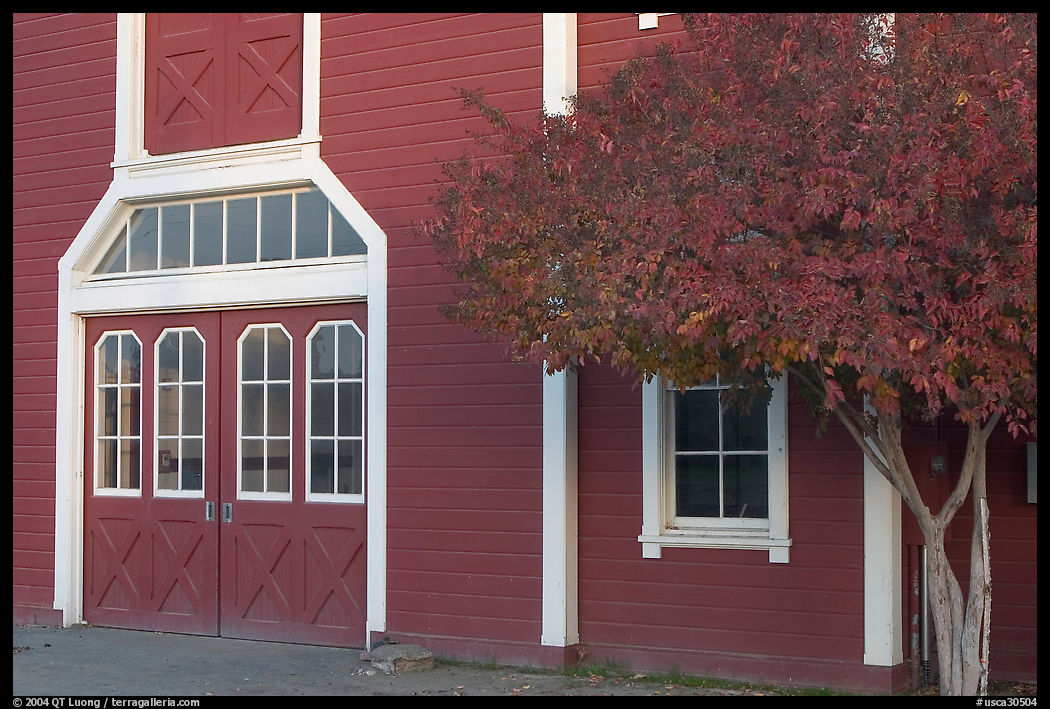 Door and tree in fall color, Red Barn. Stanford University, SF Bay area, California, USA