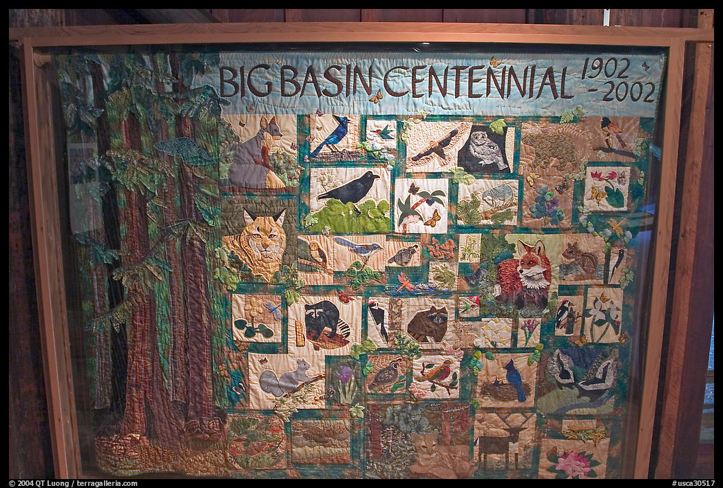 Quilt celebrating the centenial of the Park. Big Basin Redwoods State Park, SF Bay area, California, USA
