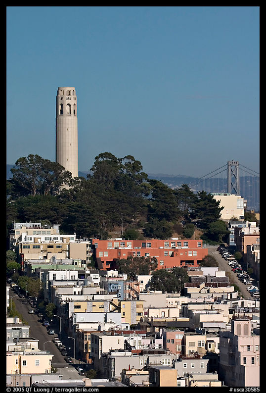 Houses on  Telegraph Hill and Coit Tower, afternoon. San Francisco, California, USA