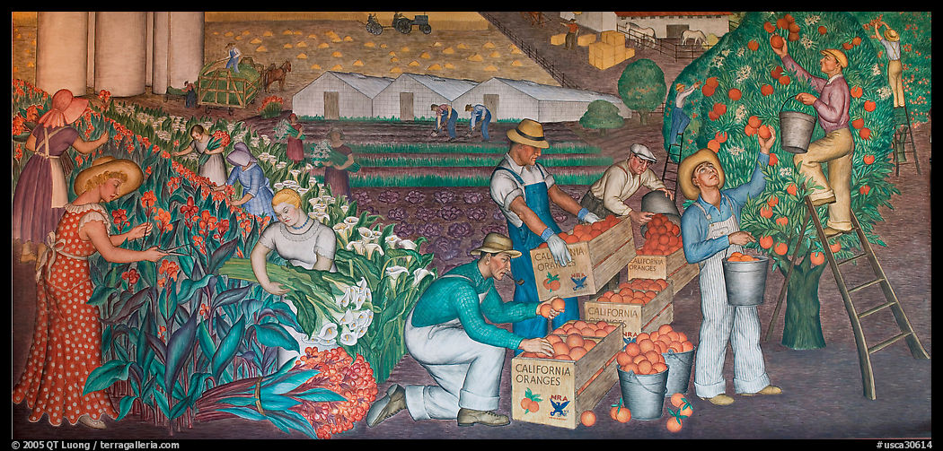 Orange-harvesting  scene depicted in a fresco inside Coit Tower. San Francisco, California, USA