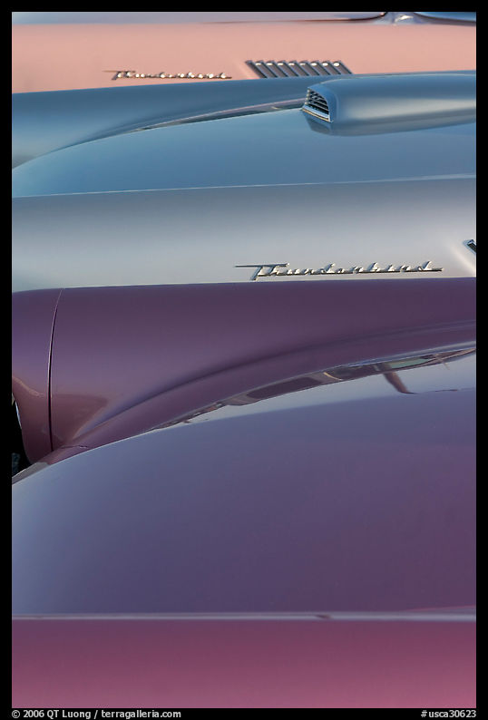 Thunderbird classic cars. Santa Cruz, California, USA
