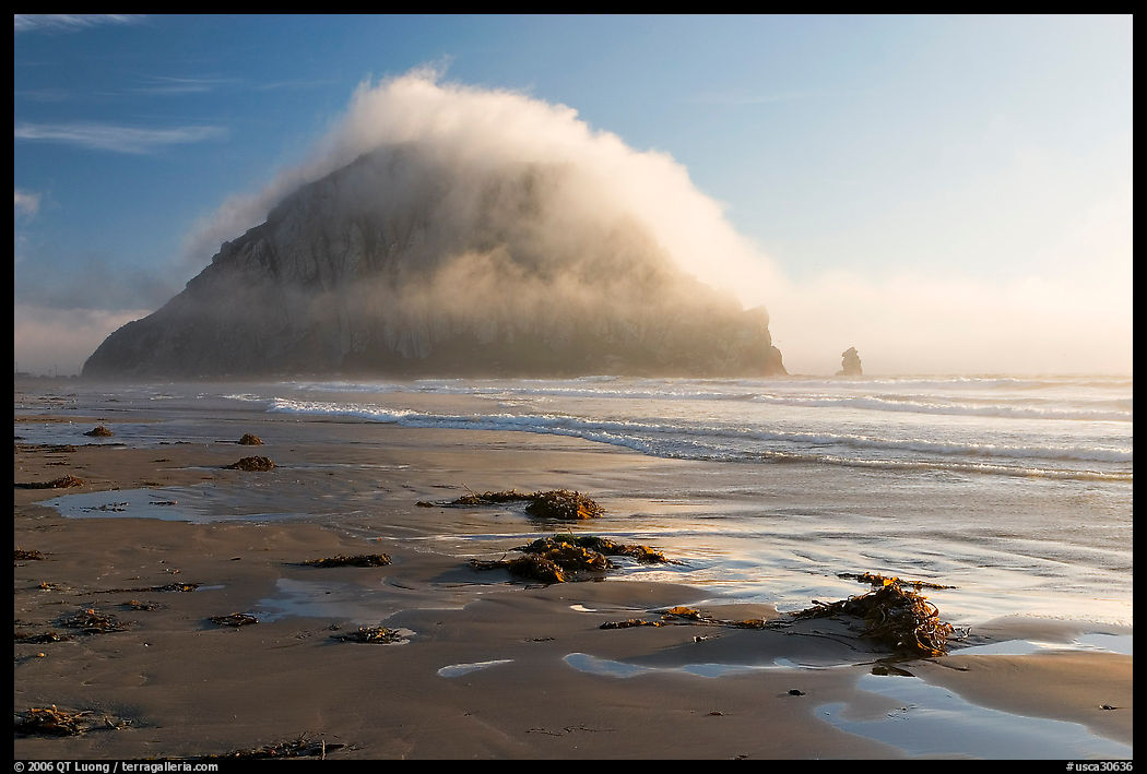 Beach with seaweed, and Morro Rock capped by afternoon fog. Morro Bay, USA