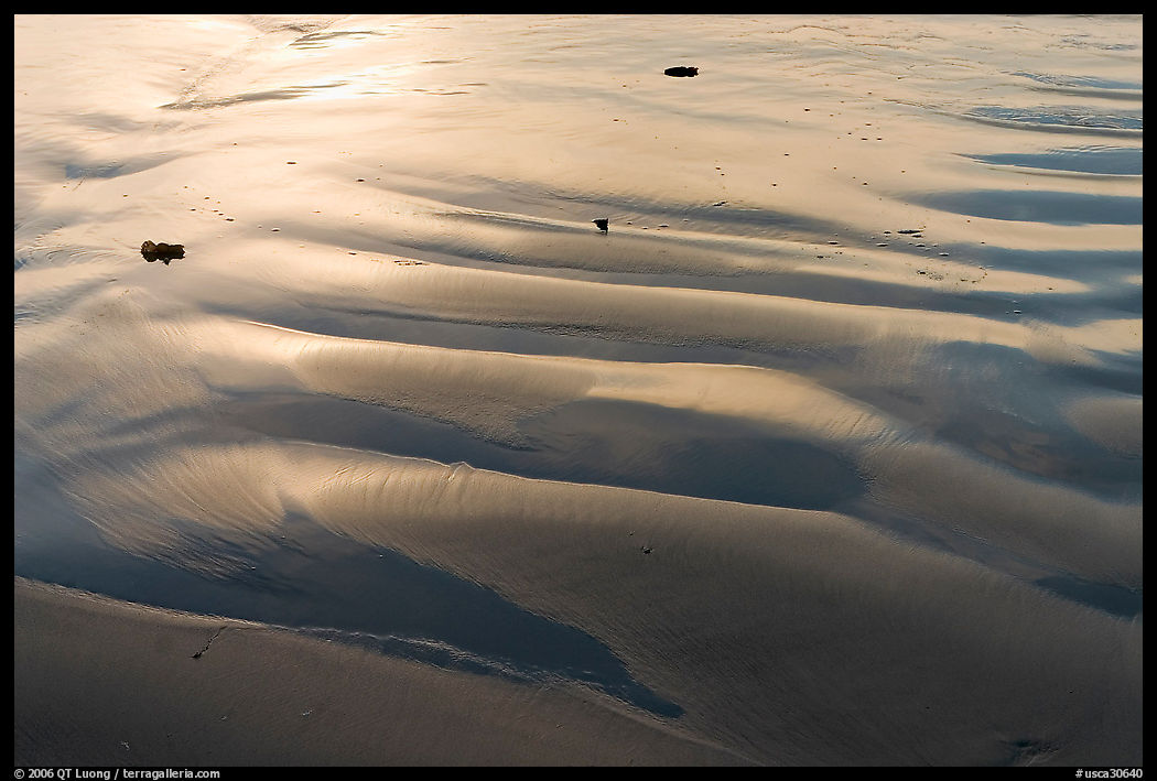 Ripples and wet sand on beach. Morro Bay, USA