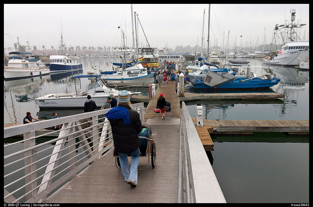 Harbor in morning fog. California, USA