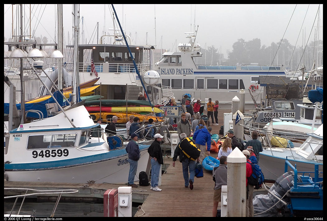Island Packers pier in dawn fog. California, USA