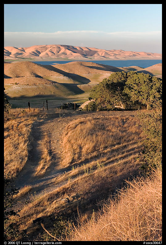 Golden hills and San Luis Reservoir. California, USA
