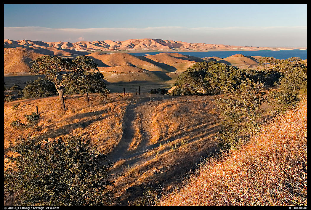 Rural path amongst oak and golden hills, San Luis Reservoir State Rec Area. California, USA