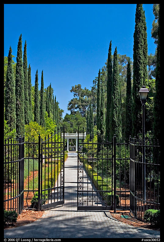 Gates in cypress trees in garden, Villa Montalvo, Saratoga. SF Bay area, California, USA