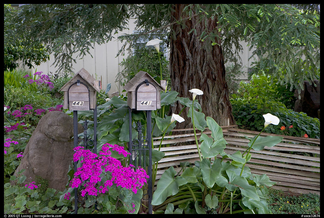 Mailboxes and front yard in a residential neighborhood. Menlo Park, SF Bay area, California, USA