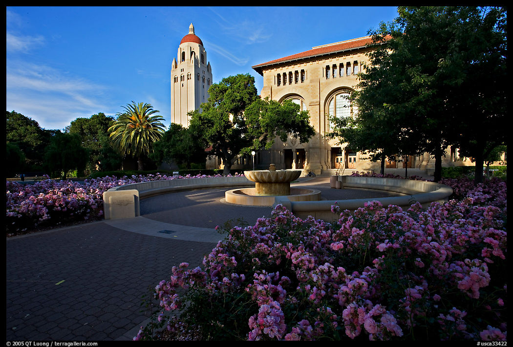 Bing Wing of Green Library and Hoover Tower,  late afternoon. Stanford University, SF Bay area, California, USA