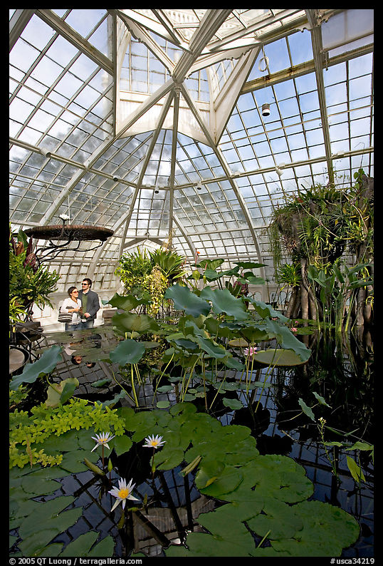 Aquatic plants section inside the Conservatory of Flowers. San Francisco, California, USA