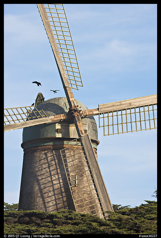 Dutch Mill. San Francisco, California, USA