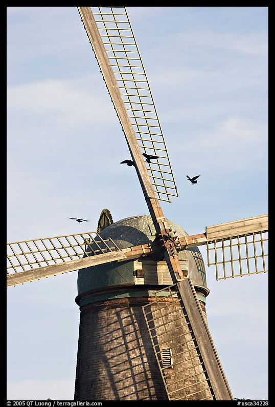 Crows and Dutch Mill. San Francisco, California, USA