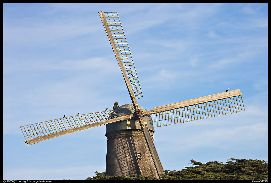 Dutch Mill and crows. San Francisco, California, USA