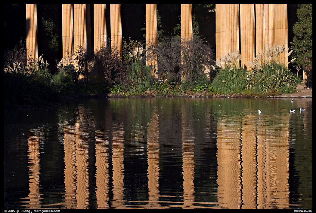 Reflexion of colonade, Palace of Fine Arts, morning. San Francisco, California, USA