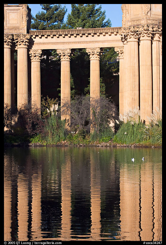 Colons and reflexion, Palace of Fine Arts, morning. San Francisco, California, USA