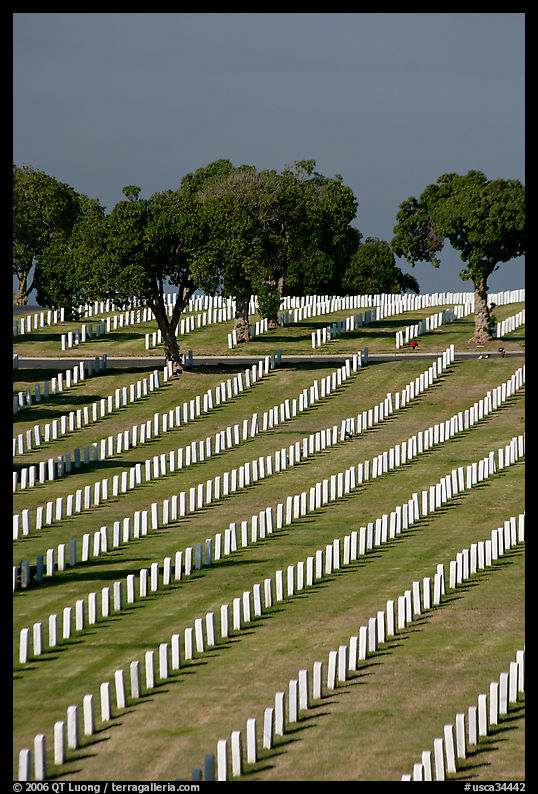 Fort Rosecrans National Cemetary, the third largest in the US. San Diego, California, USA