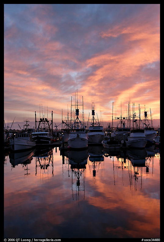 Fishing fleet at sunset. San Diego, California, USA