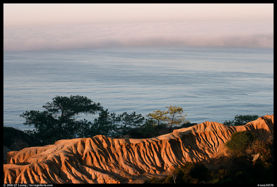 Eroded bluffs, ocean and fog, sunrise, Torrey Pines State Preserve. La Jolla, San Diego, California, USA