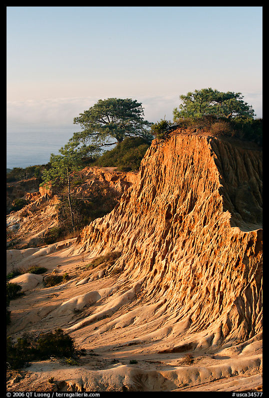 Broken Hill and Torrey Pines, sunrise, Torrey Pines State Preserve. La Jolla, San Diego, California, USA