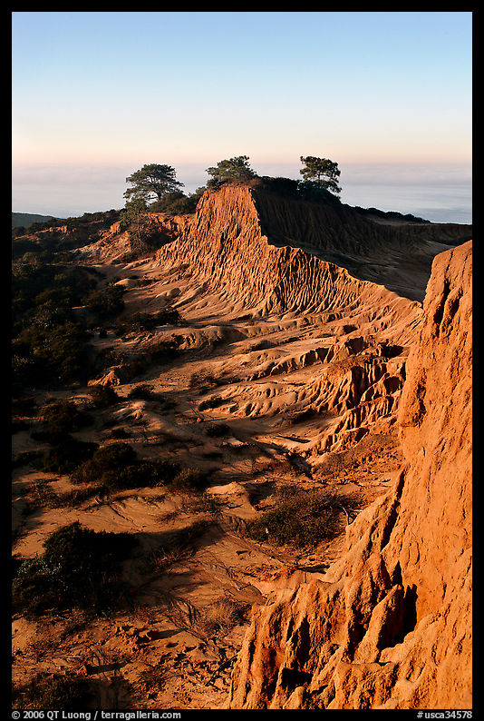 Steep weathered sandstone cliffs, Torrey Pines State Preserve. La Jolla, San Diego, California, USA