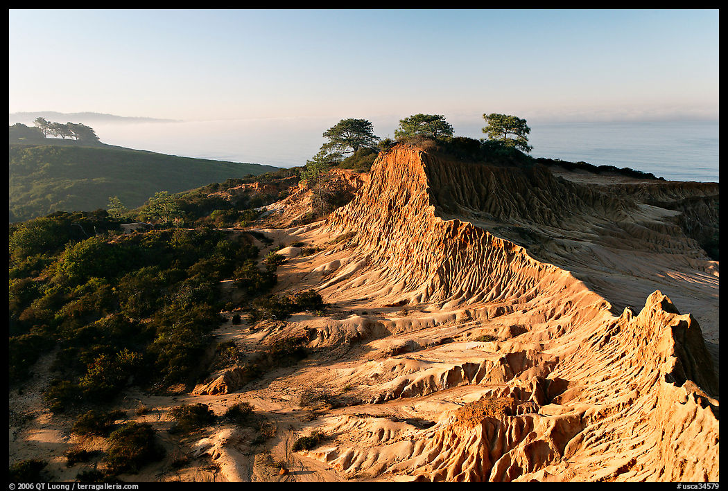 Eroded sandstone cliffs of Broken Hill,  Torrey Pines State Preserve. La Jolla, San Diego, California, USA
