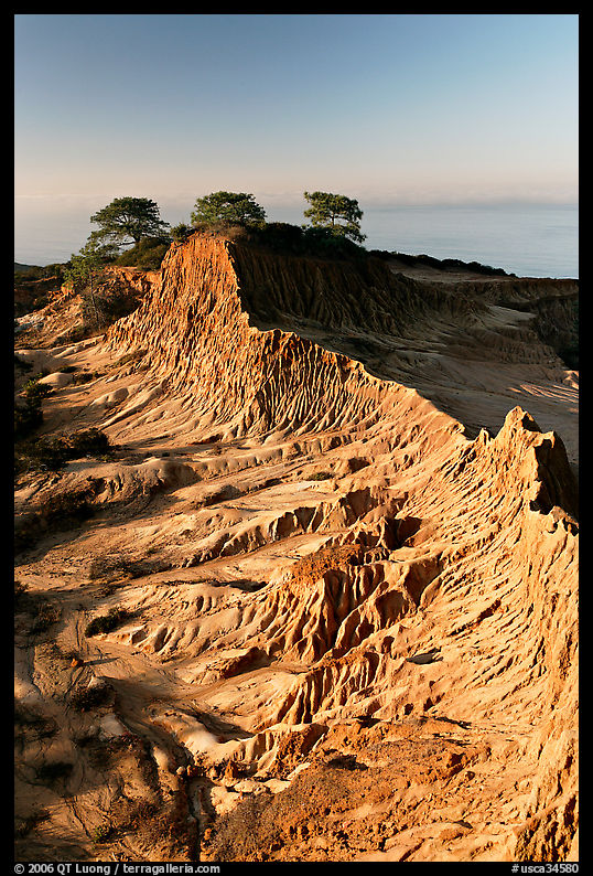 Eroded sandstone promontory,  Torrey Pines State Preserve. La Jolla, San Diego, California, USA