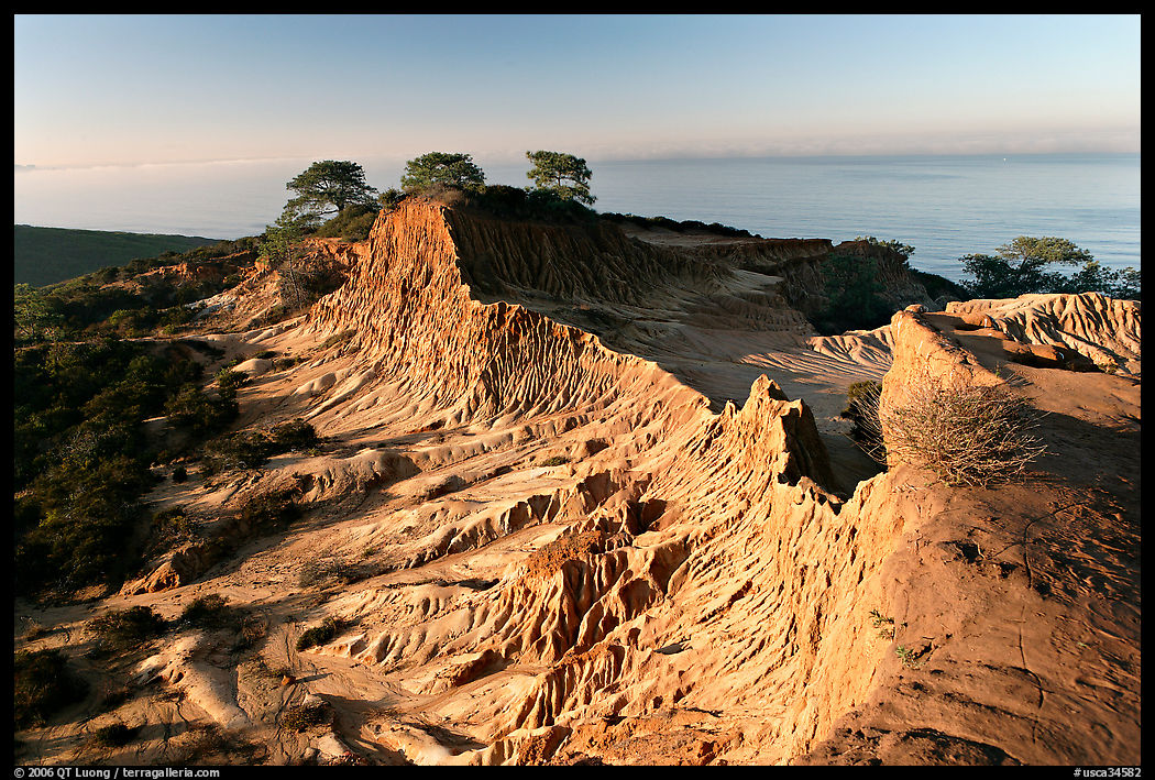 Broken Hill and Ocean,  Torrey Pines State Preserve. La Jolla, San Diego, California, USA