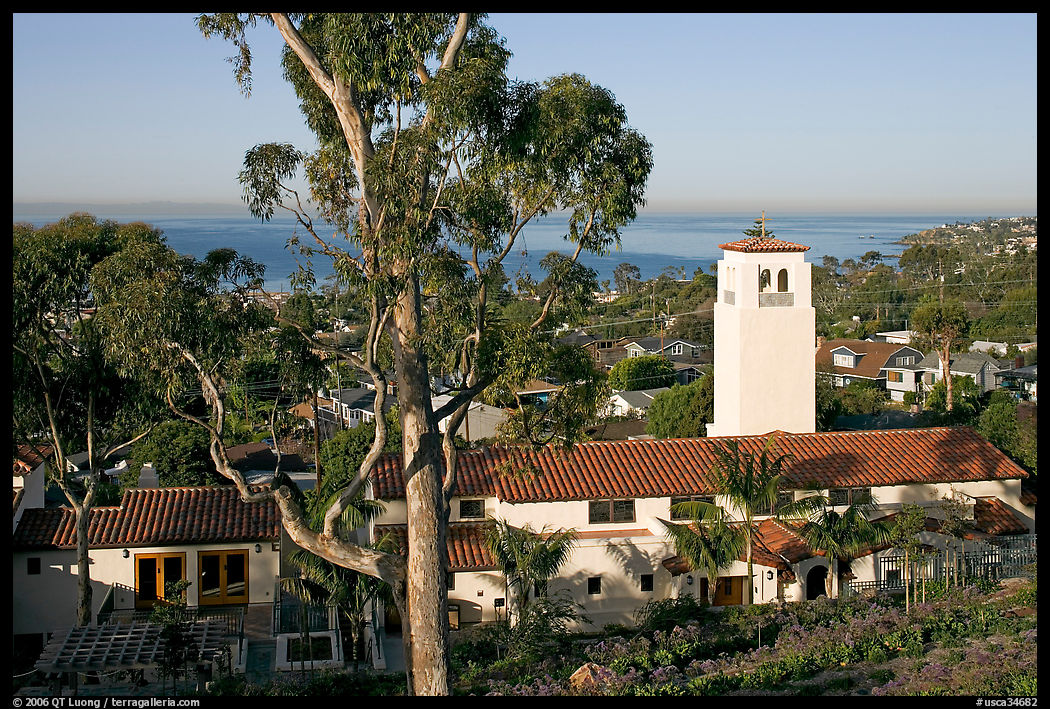 Eucalyptus tree and church. Laguna Beach, Orange County, California, USA