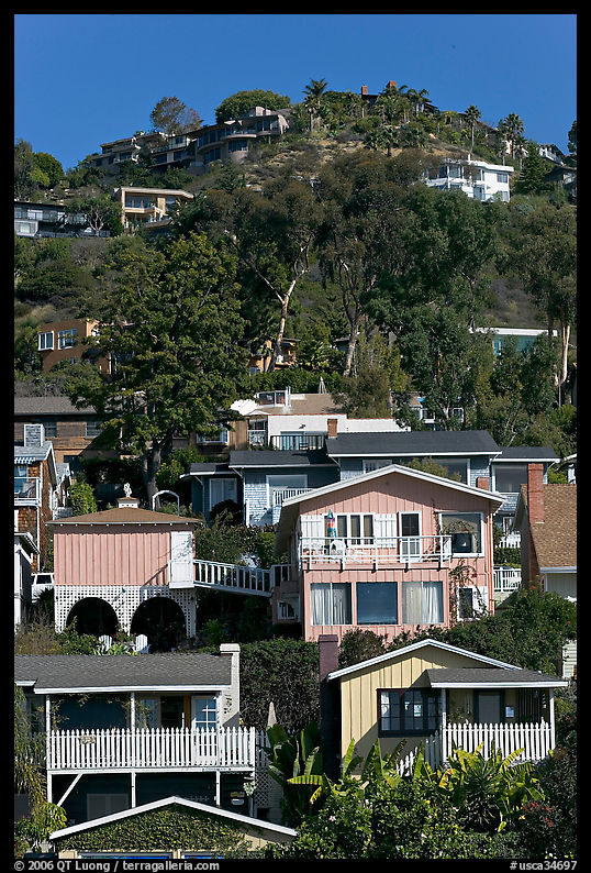 Houses on verdant hillside. Laguna Beach, Orange County, California, USA