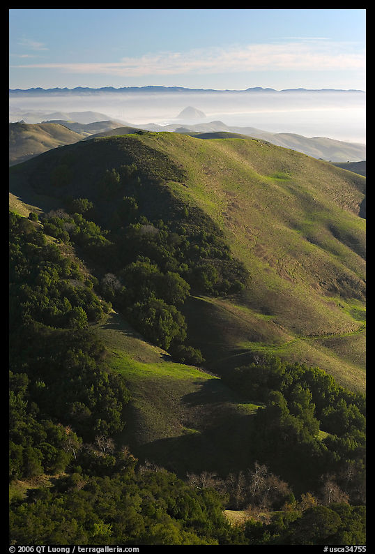 Hills, with coasline and Morro rock in the distance. California, USA