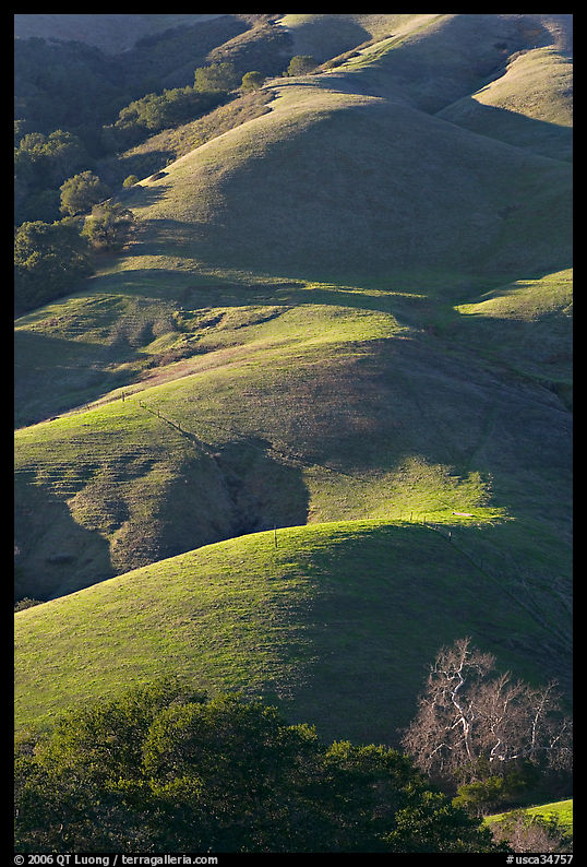 Emerald hills. California, USA