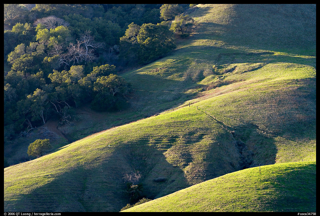 Hills and trees. California, USA