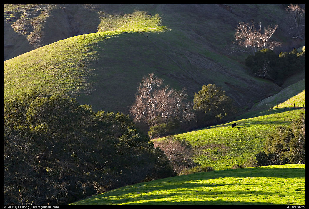 Pastures and hills. California, USA