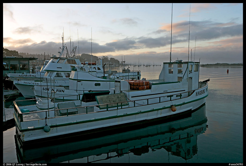 Harbor, sunrise. Morro Bay, USA