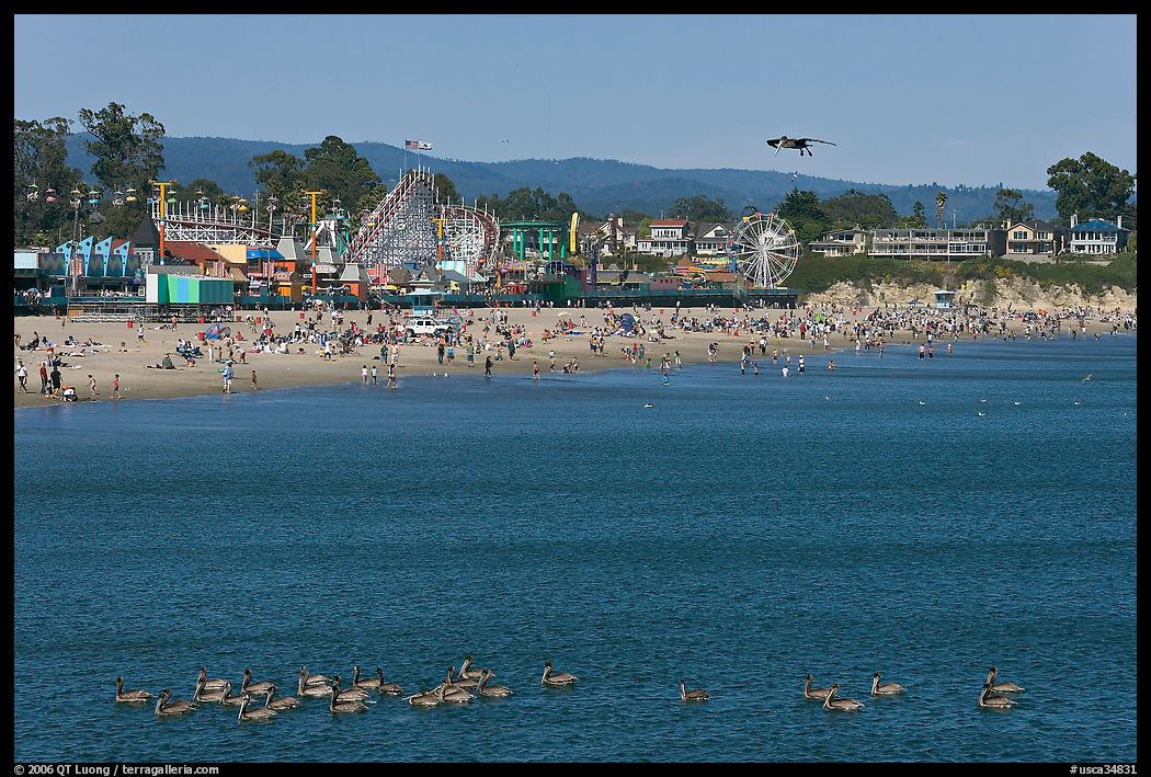 Pelicans, beach, and amusement park. Santa Cruz, California, USA