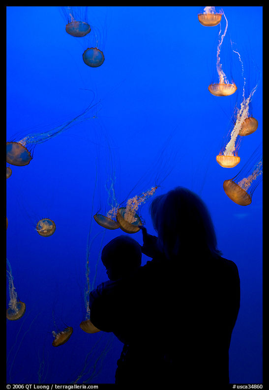 Woman holding child in front of jellyfish, Monterey Bay Aquarium. Monterey, California, USA