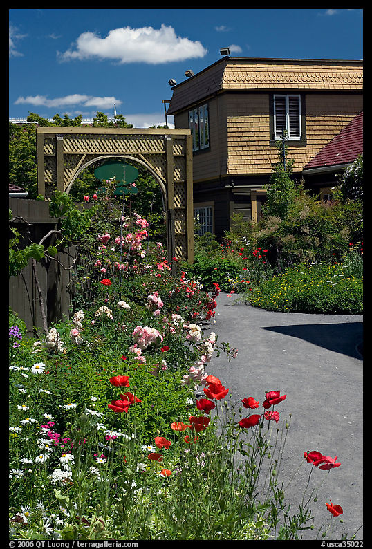Flowers in backyard. Winchester Mystery House, San Jose, California, USA
