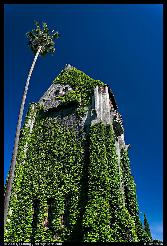 Ivy-covered Tower Hall, San Jose State University. San Jose, California, USA