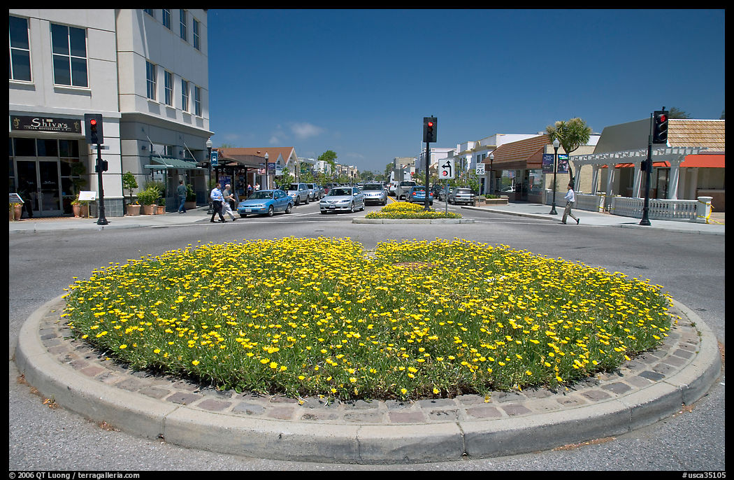 Flower circle, Castro Street, Mountain View. SF Bay area, California, USA