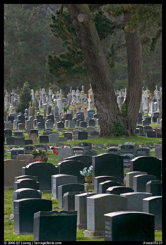 Dense headstones in cemetery, Colma. SF Bay area, California, USA