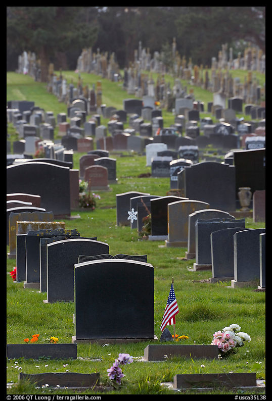 Memorial Park, Colma. SF Bay area, California, USA